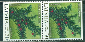 Латвия, 2003, Цветы, Орхидеи, пара марок из буклета